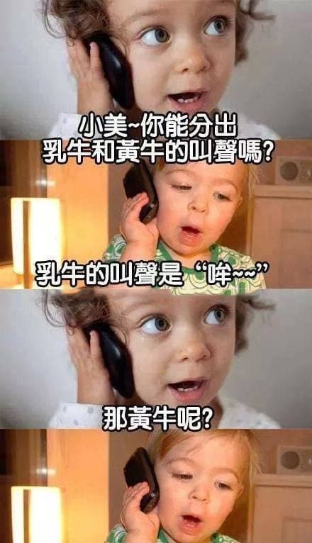 乳牛和黃牛的分別... 小孩神回覆！
