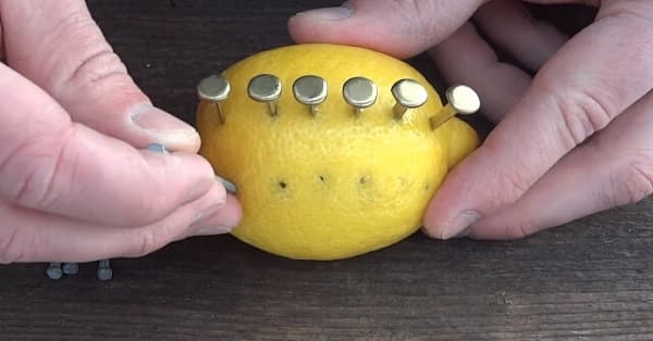 在檸檬上面插滿釘子...竟然在露營中可以發揮奇效！？　有實際操作影片可以求證！！