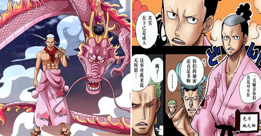 海賊王：成年桃之助即將亮相，傳次郎稱帶來了新任將軍！