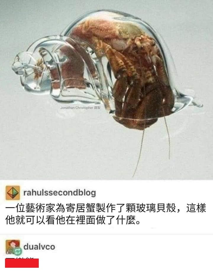 這想法要確定欸