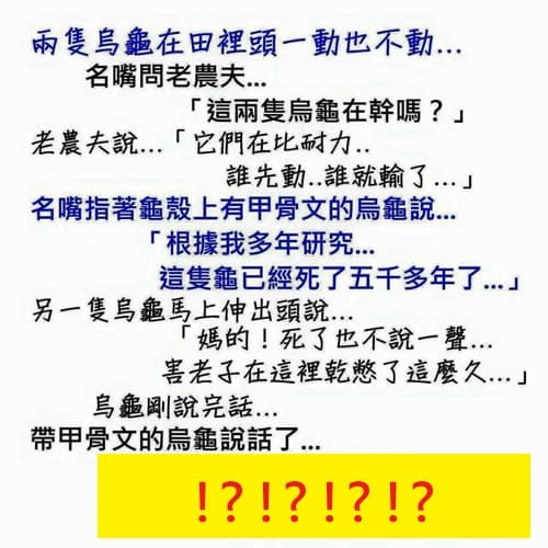 帶甲骨文的烏龜...一語道破真相