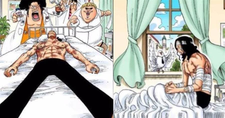 海賊王:巔峰強者致命傷多可怕?凱多包紮三天,瑪律科包紮一個月